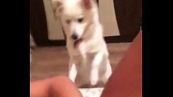 play طالب من ياش يستمني ويتم تصويره